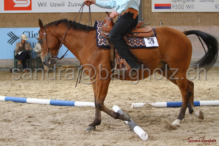 26-ApHC GT_022.jpg